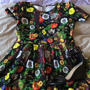 Never worn LuLaRoe bird print Amelia dress